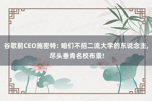 谷歌前CEO施密特: 咱们不招二流大学的东说念主, 尽头垂青名校布景!