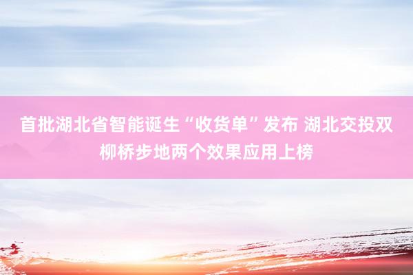 首批湖北省智能诞生“收货单”发布 湖北交投双柳桥步地两个效果应用上榜