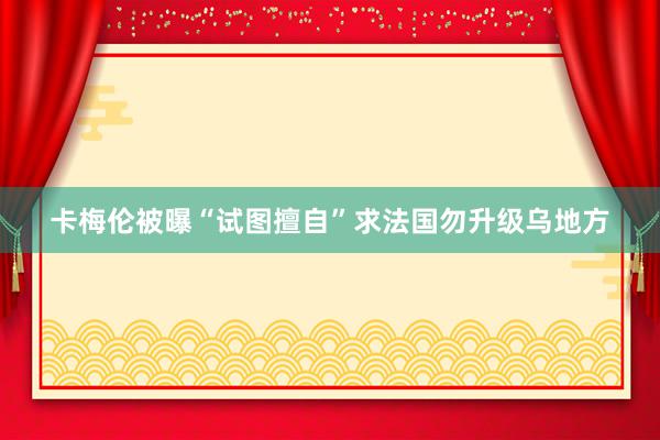 卡梅伦被曝“试图擅自”求法国勿升级乌地方