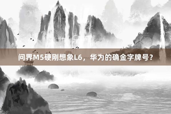 问界M5硬刚想象L6，华为的确金字牌号？