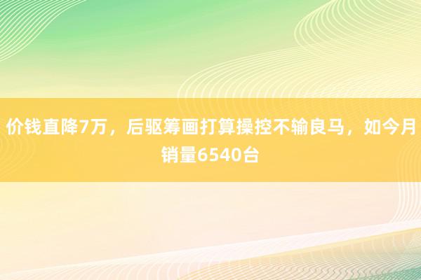 价钱直降7万，后驱筹画打算操控不输良马，如今月销量6540台