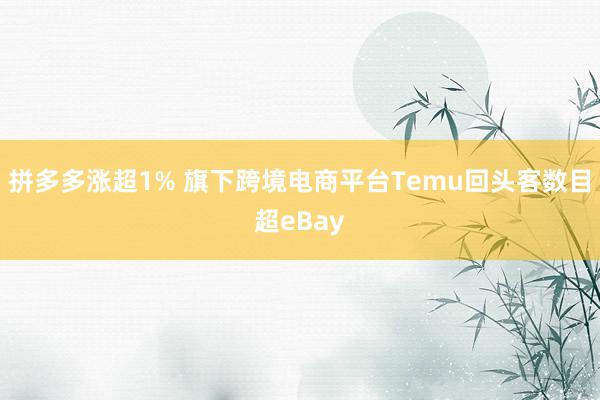 拼多多涨超1% 旗下跨境电商平台Temu回头客数目超eBay