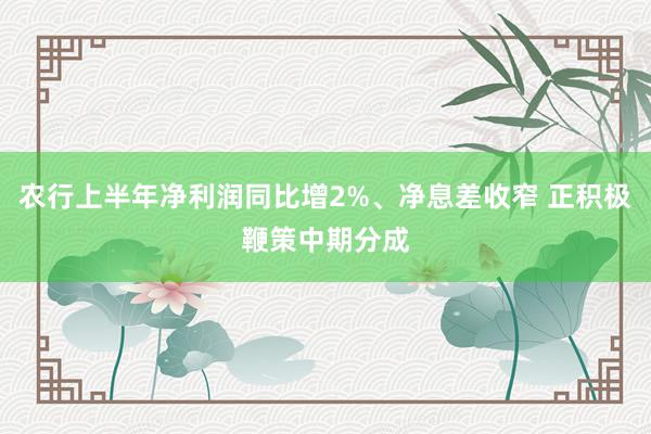 农行上半年净利润同比增2%、净息差收窄 正积极鞭策中期分成