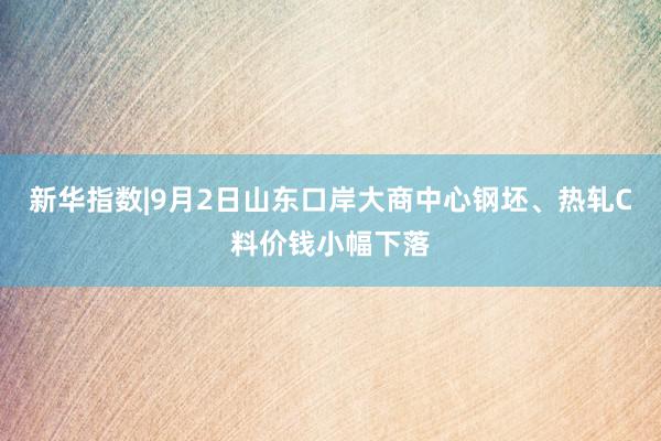 新华指数|9月2日山东口岸大商中心钢坯、热轧C料价钱小幅下落