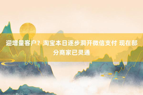 迎增量客户？淘宝本日逐步洞开微信支付 现在部分商家已灵通