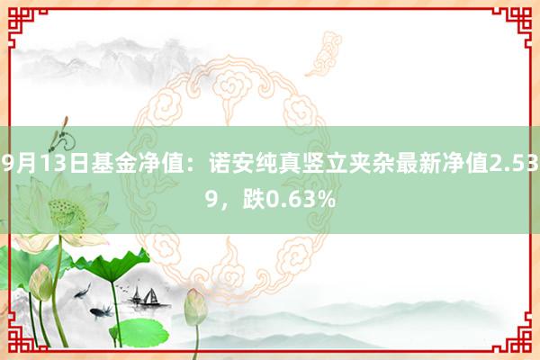 9月13日基金净值：诺安纯真竖立夹杂最新净值2.539，跌0.63%